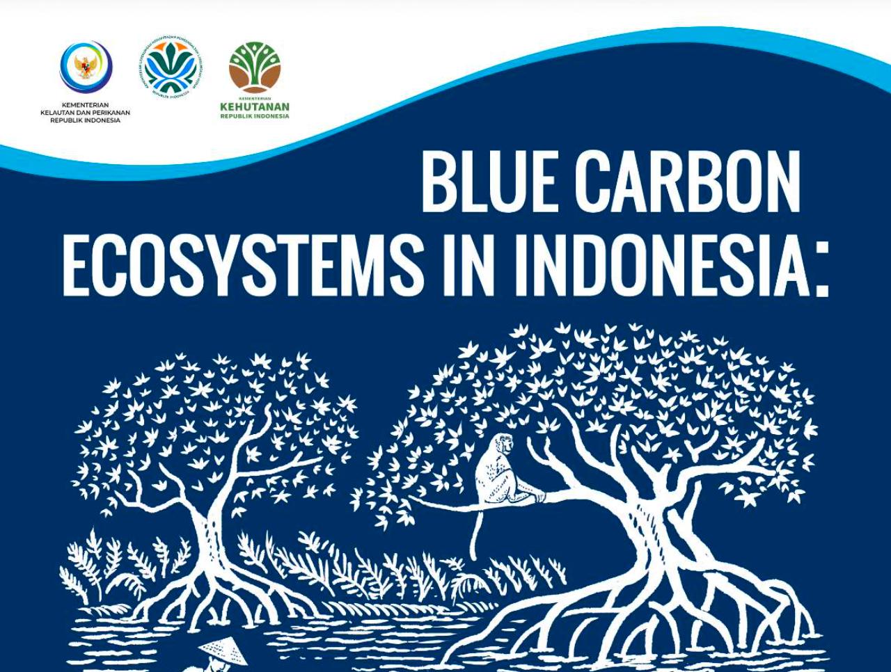 Blue Carbon Ecosystem in Indonesia: an Action Guide