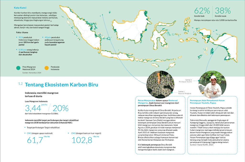 Infografis potensi mangrove — tata situasi ekosistem mangrove di Indonesia