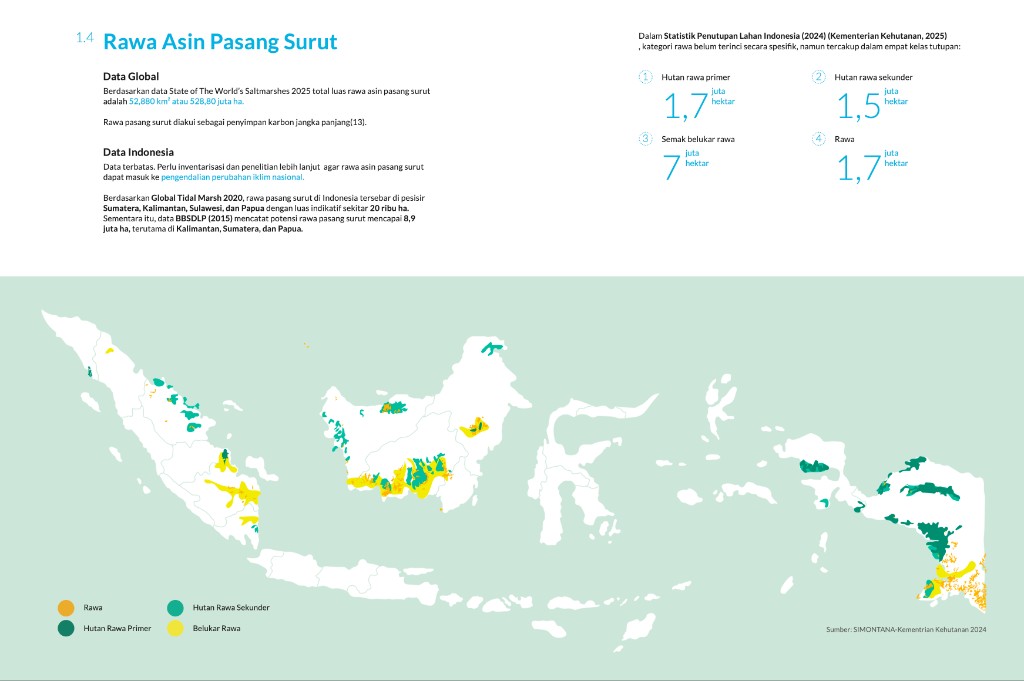 Infografis potensi rawa asin pasang surut di Indonesia