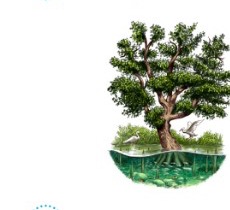 Ilustrasi ekosistem mangrove